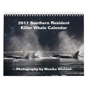 2017 Southern Resident Killer Whale Calendar by OrcaWatcher at Zazzle