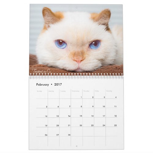 2017 Trident the Cat Calendar