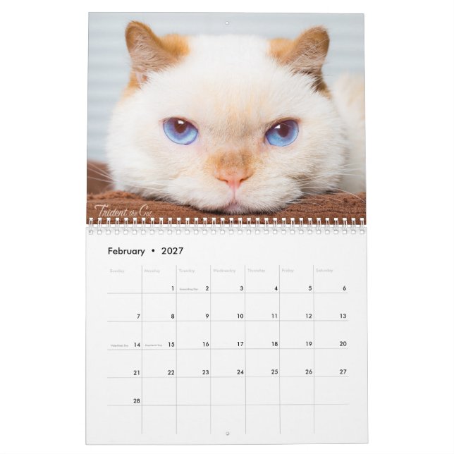 2017 Trident the Cat Calendar (Feb 2027)