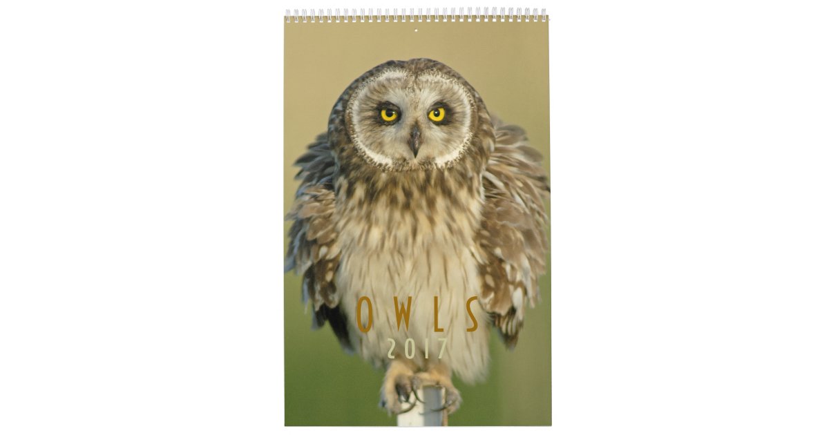 2017 Wall Calendar For Owl Lovers Zazzle Com
