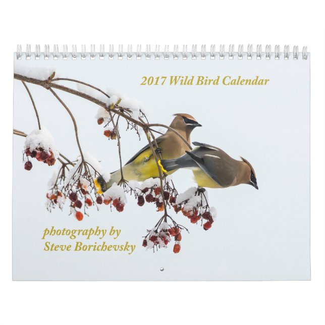 2017 Wild Bird Calendar (Cover)