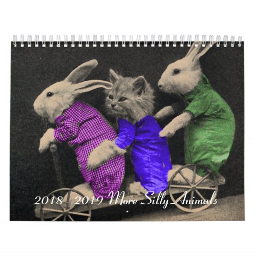 2018 _ 2019 More Silly Animals Calendar