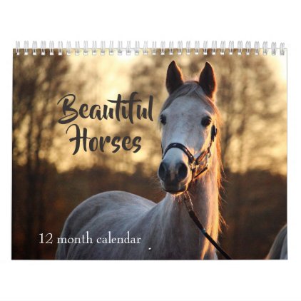 2018 Beautiful Horses Calendar