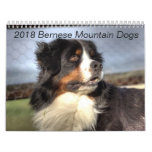 2018 Bernese Mountain Dog Calendar at Zazzle