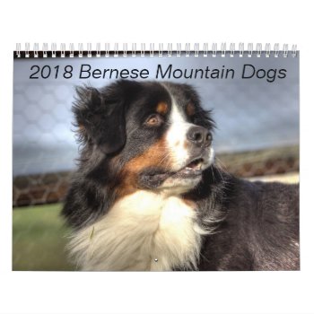 2018 Bernese Mountain Dog Calendar by 3dognight at Zazzle