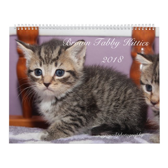 2018 BROWN TABBY CATS AND KITTENS CALENDAR (Cover)