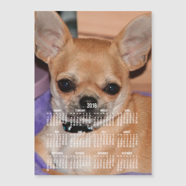 2018 Calendar Chihuahua Magnetic Photo Card 5x7 (Front)