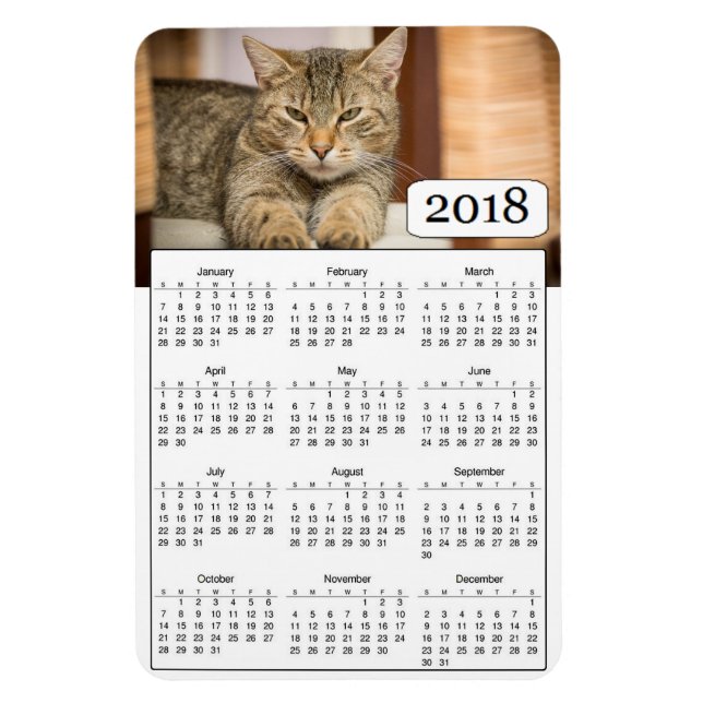2018 Calendar Personalized Cat Photo Magnet (Vertical)