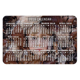 2018 Calendar (See Description for New Version) Magnet