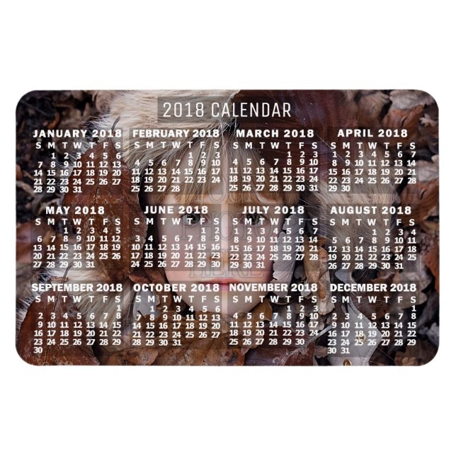 2018 Calendar (See Description for New Version)  Magnet (Horizontal)