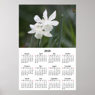 2018 Calendar White Daffodils Photograph Poster