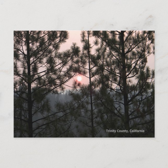 2018 Carr Fire Sunrise... Postcard (Front)