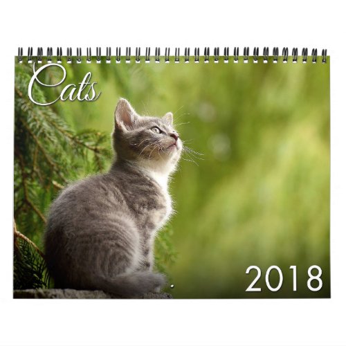 2018 Cat and Kitten Calendar