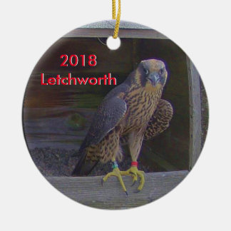 2018 Ceramic Ornament Letchworth