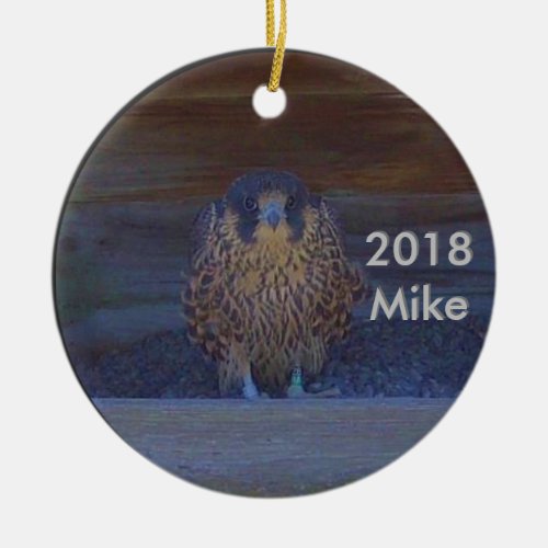 2018 Ceramic Ornament Mike