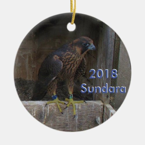 2018 Ceramic Ornament Sundara