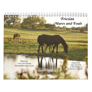 2018 Friesian Mares and Foals Calendar