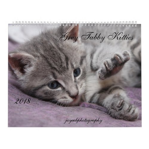2018 GRAY TABBY KITTIES CALENDAR
