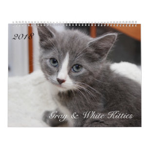2018 GRAY & WHITE CATS CALENDAR
