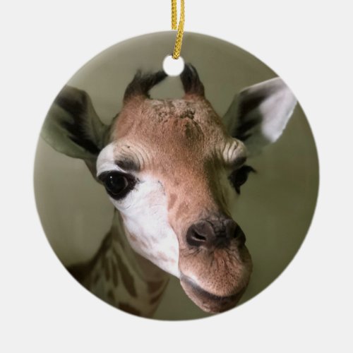 2018 Holiday Ornament Penny the Giraffe Ceramic Ornament