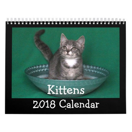 2018 Kitten Calendar