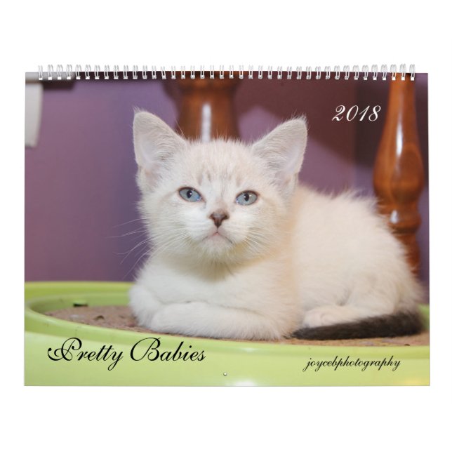 2018 KITTENS CALENDAR (Cover)
