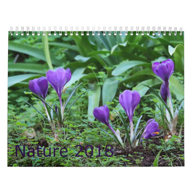 2018 Nature Calendar (Cover)