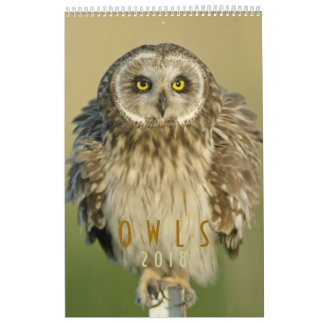2018 Owl Lovers Wall Calendar