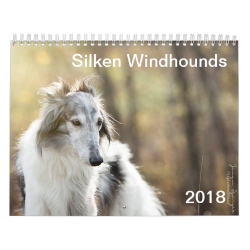 2018 Silken Windhounds head shots Calendar