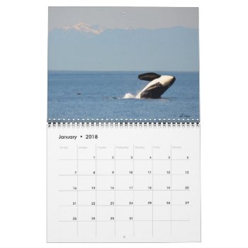 2018 Southern Resident Killer Whale Calendar by OrcaWatcher at Zazzle