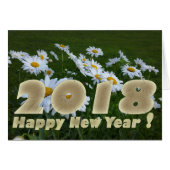 2018 white daisies (Front Horizontal)