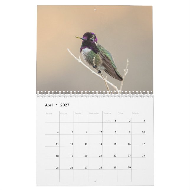 2018 Wild Bird Calendar (Apr 2027)