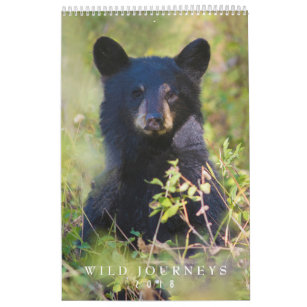 2018 Wildlife Wall Calendar - Wildlife Photography