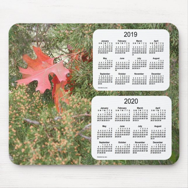 2019-2020 Oak Leaf 2 Year Calendar by Janz Mouse Pad (Front)