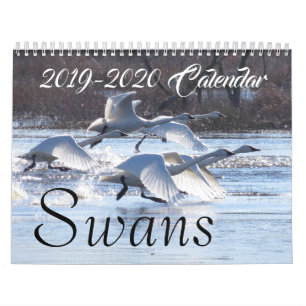2019 2020 Swan Birds Wildlife Animals Refuge Calendar