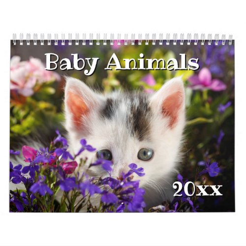 2019 Adorable Baby Animals Calendar