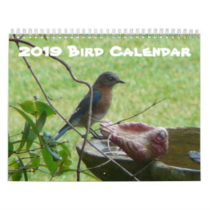 2019 Bird Calendar