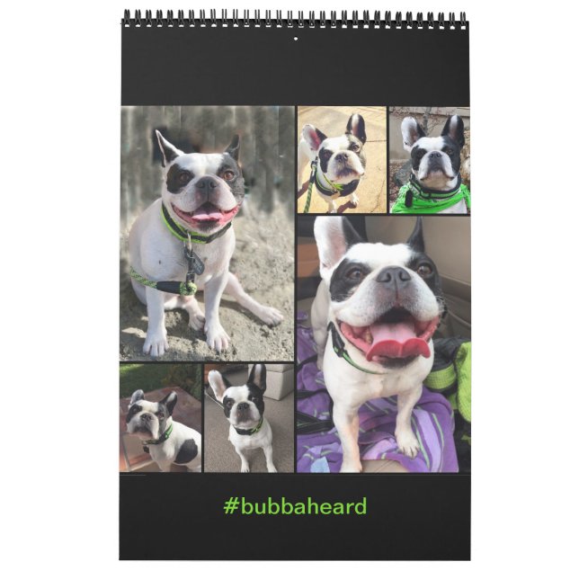 2019 Bubba Louie Calendar (Back)