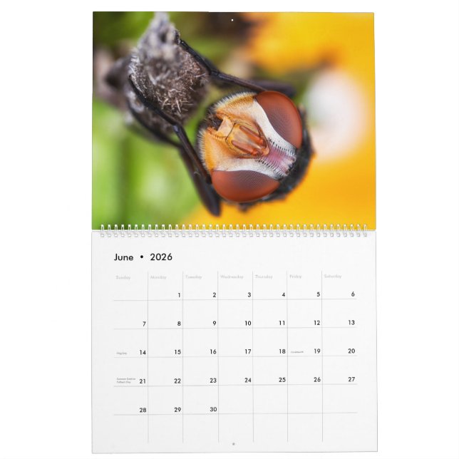 2019 Bug Eyed Beauties Macro Photography Calendar (Jun 2026)