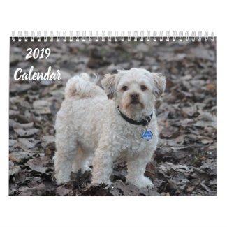 2019 Calendar Cute Poodle Dog Images