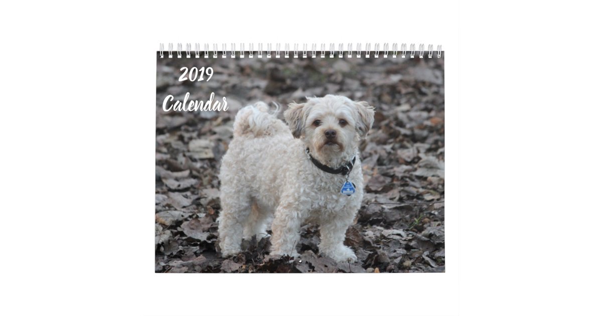 2019 Calendar Cute Poodle Dog Images Zazzle Com