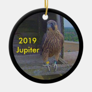 2019 Ceramic Ornament Jupiter