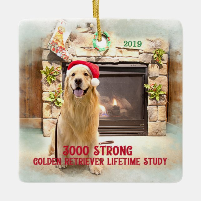 2019 Christmas Ornament - 3000 Strong (Front)