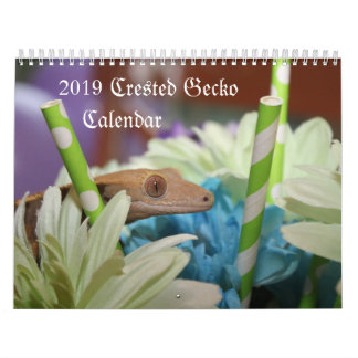 2019 Crested Gecko Calendar