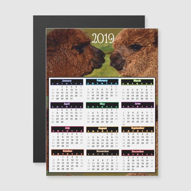 2019 Funny Alpacas Mini Calendar Magnetic Invitation (Front/Back)