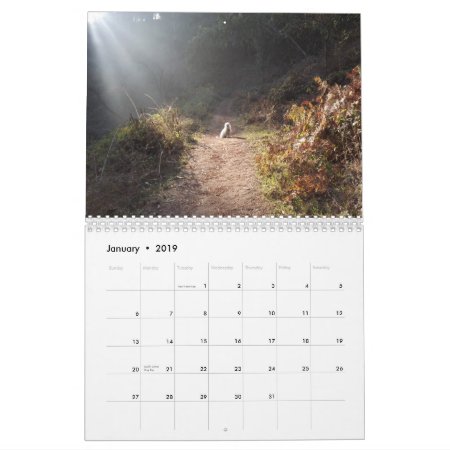 2019 Gwendolyn Calendar - Medium