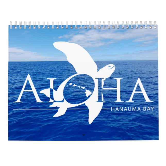 2019 Hawaii Turtles Calendar (Back)