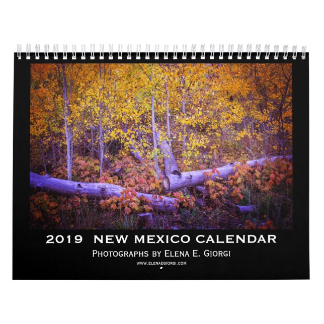 2019 New Mexico Calendar (Cover)