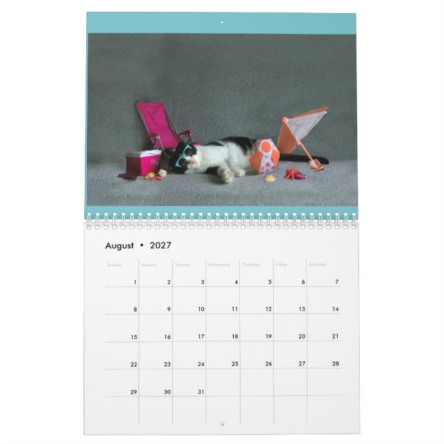 2019 Scottish Fold calendar (Aug 2027)