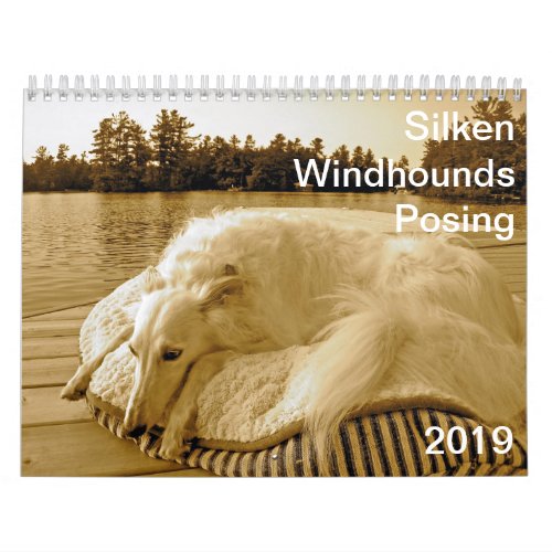 2019 Silken Windhounds Posing Calendar